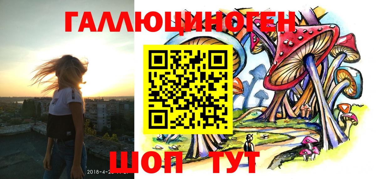 Галлюциногенные грибы Psilocybe Дмитров