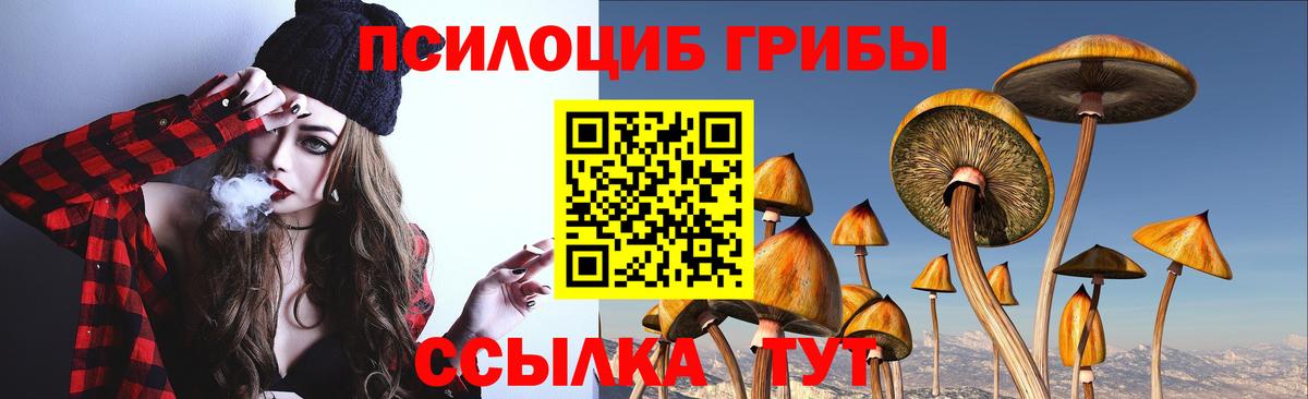 Псилоцибиновые грибы прущие грибы  Псилоцибиновые грибы прущие грибы  Вход с VPN  Дмитров 